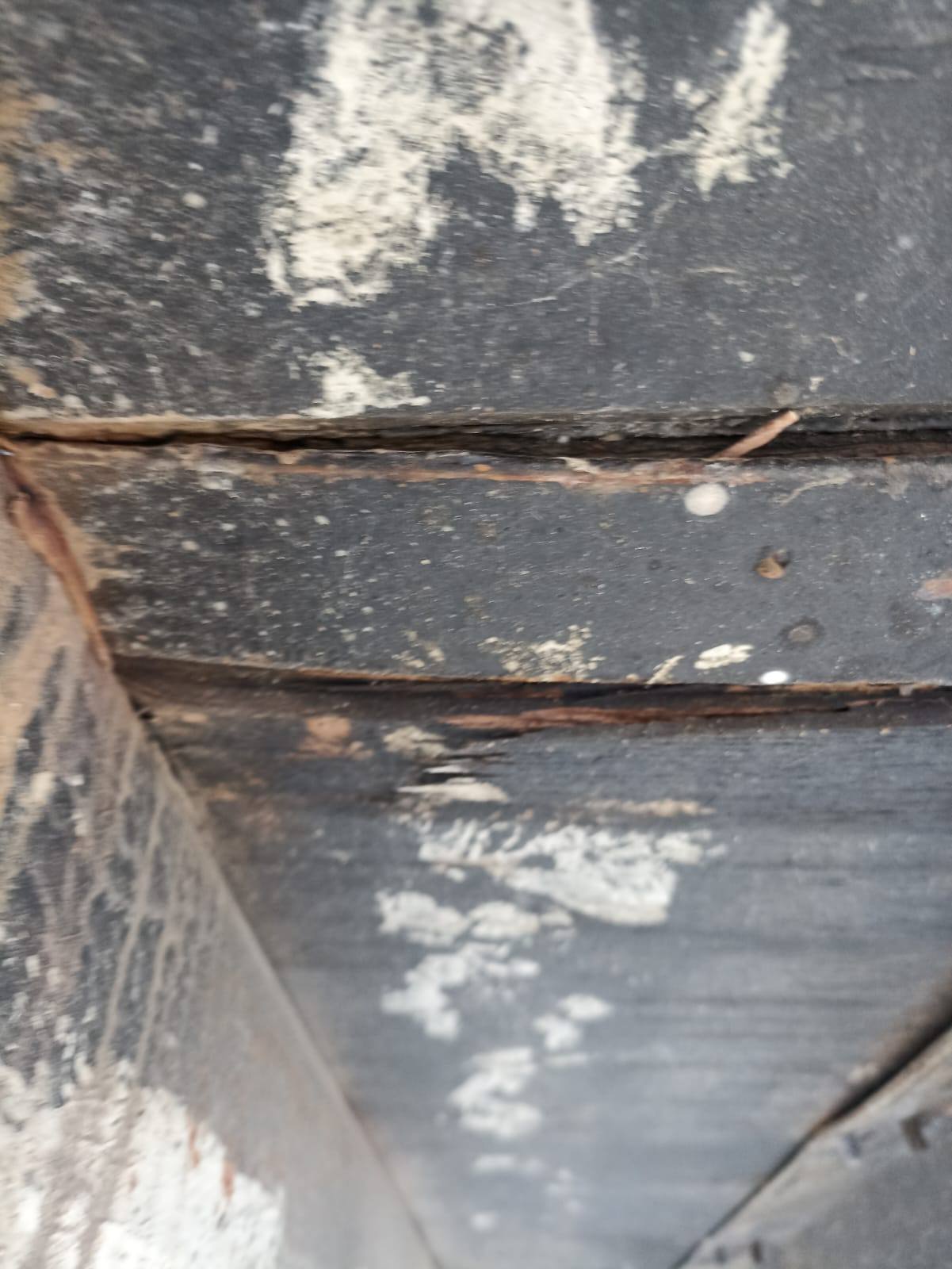 Морской контейнер TEMU2222234